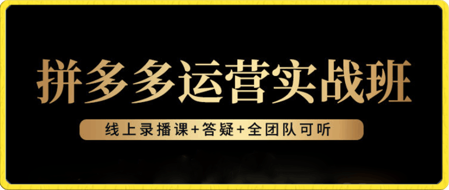 拼多多运营实战班