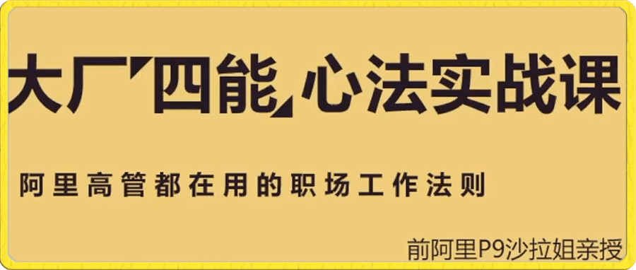 沙拉姐   大厂四能心法实战课-云创库