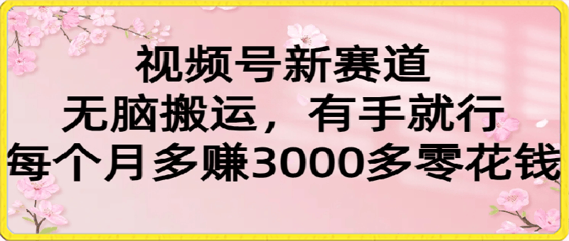 视频号新赛道，无脑搬运，有手就行，每个月多赚3000多零花钱-云创库