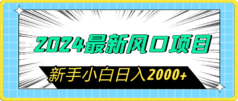 2024最新风口项目 新手小白日入2000-云创库