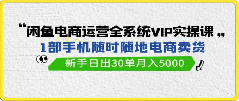 闲鱼电商运营全系统VIP实战课，1部手机随时随地卖货，新手日出30单月入5000-云创库