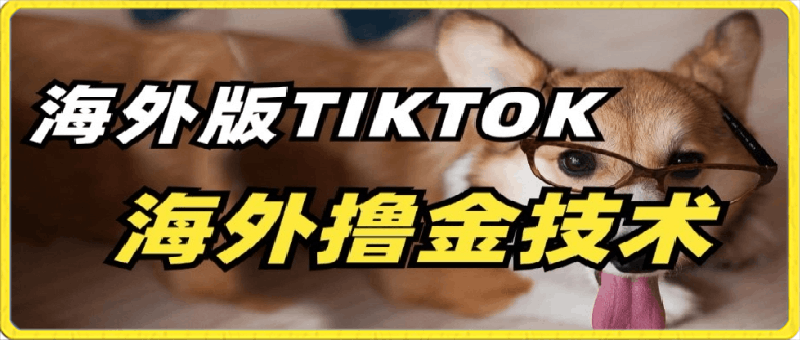 抖音海外版tiktok撸金技术，这个风口行业，赚钱真的不难【揭秘】-云创库