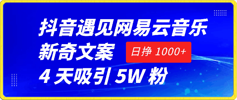 抖音遇见网易云音乐，新奇文案 4 天吸引 5W 粉，日挣 1000-云创库