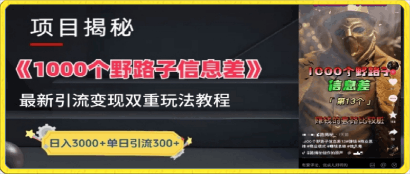 一千个野路子信息差，最新玩法教程，变现 引流的玩法具体拆解【揭秘】-云创库