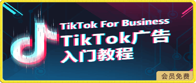 TikTok For Business-云创库