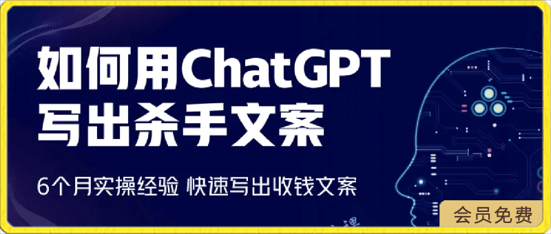 李炳池：如何用ChatGPT写出杀手文案（6个月的实操经验）-云创库