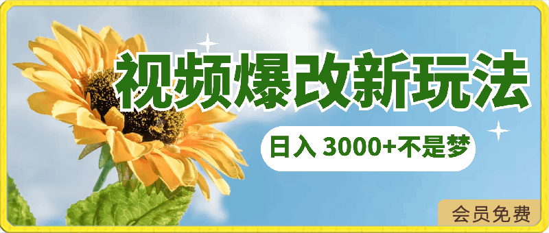 视频爆改新玩法，日入 3000 不是梦-云创库