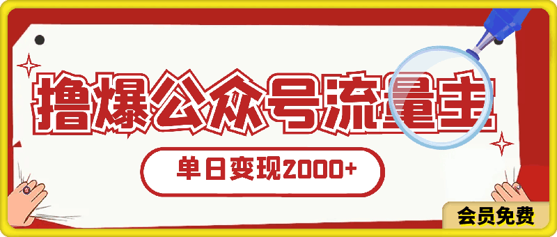 撸爆公众号流量主，简单无脑，单日变现2000-云创库