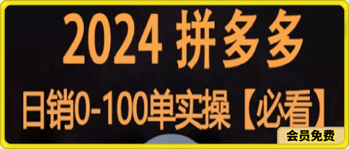 2024拼多多日销0-100单实操-云创库