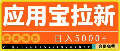 2024应用宝拉新，真正的蓝海项目，每天动动手指，日入5000-云创库