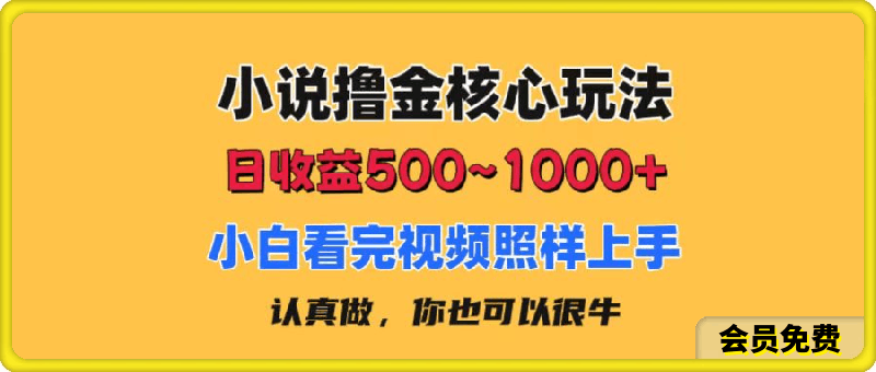 小说撸金核心玩法，日收益500-1000 ，小白看完照样上手，0成本有手就行-云创库