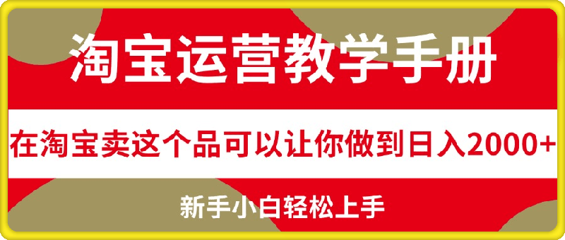 淘宝运营教学手册，在淘宝卖这个品可以让你做到日入2000-云创库