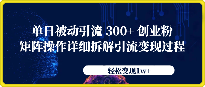 单日被动引流 300  创业粉，轻松变现1w ，矩阵操作详细拆解引流变现过程-云创库