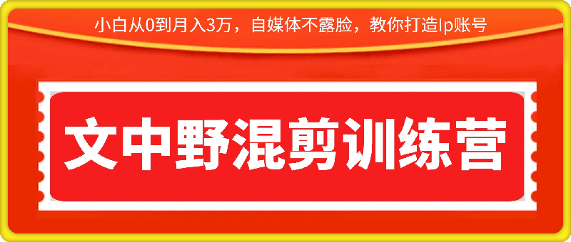 文中野混剪训练营教你打造Ip账号：小白从0到月入3万，自媒体不露脸，是如何做视频的-云创库