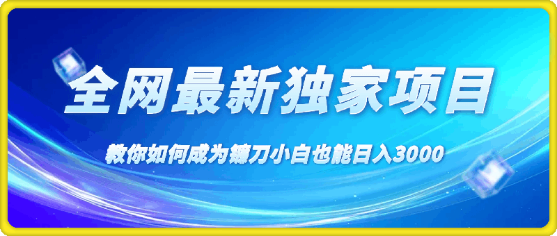 全网最新独家项目，教你如何成为镰刀小白也能日入3000-云创库