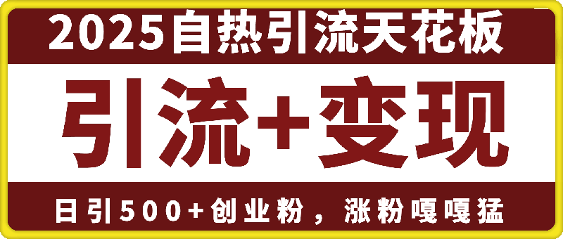 2025自热引流天花板，一条视频能带来四位数的收益，引流+变现双管齐下，日引500+创业粉，涨粉嘎嘎猛-会创网(会创项目网)