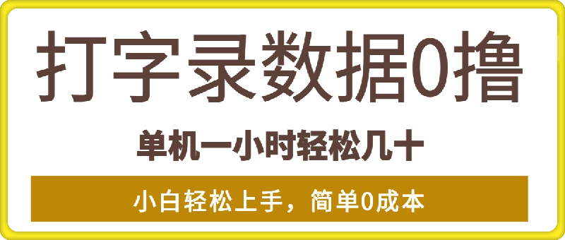 超强0撸玩法，录录数据，单机一小时轻松几十，小白轻松上手，简单0成本-会创网(会创项目网)